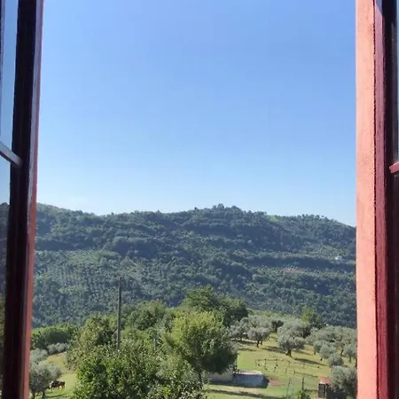 Azienda Agricola Colle Paradiso Feriegård Mompeo